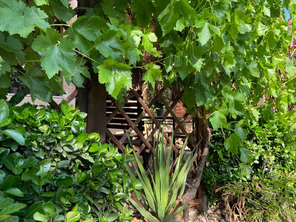 Sa Canova Vakantieboerderij