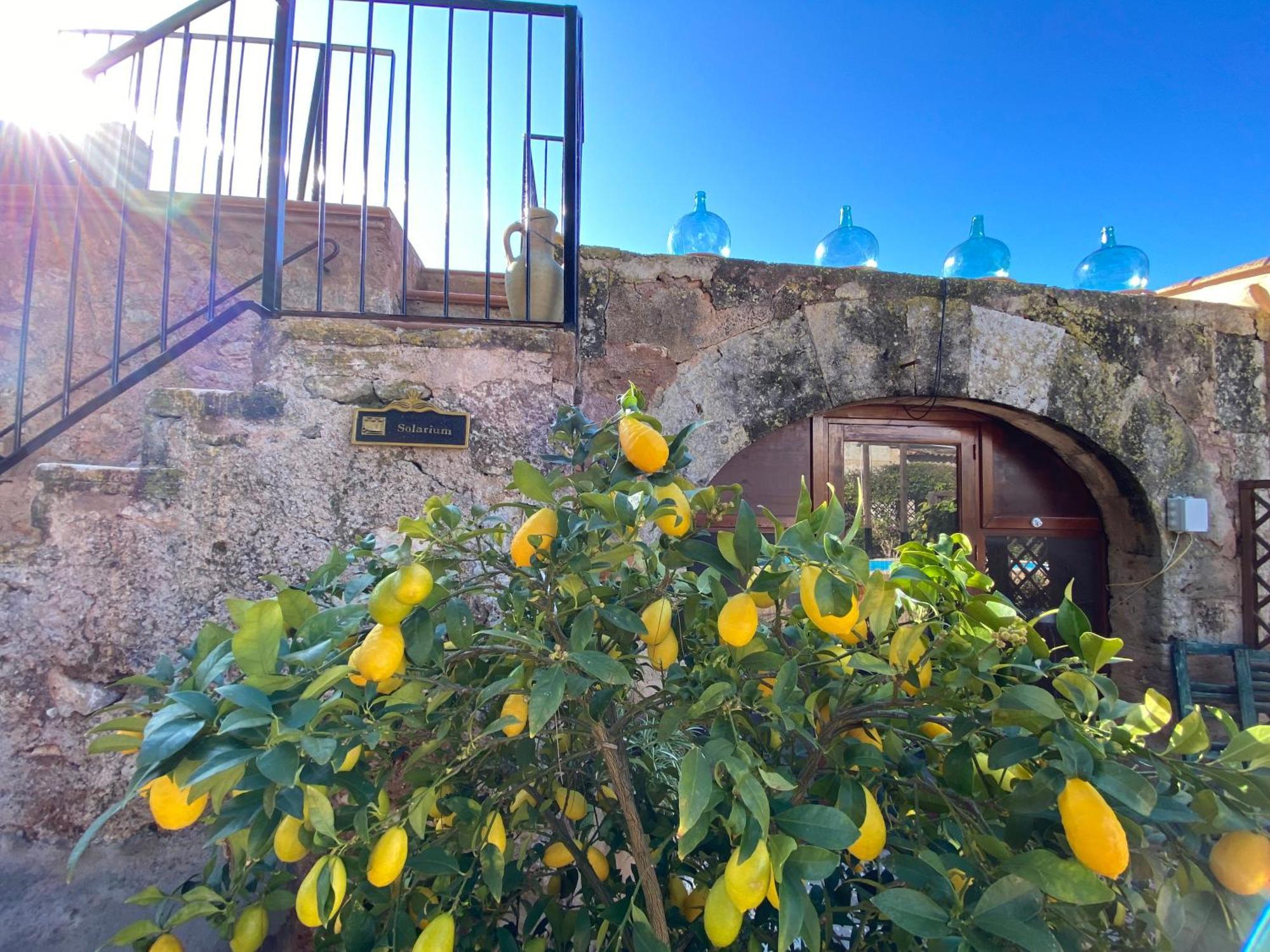 Sa Canova Bauernhof Campos (Mallorca)